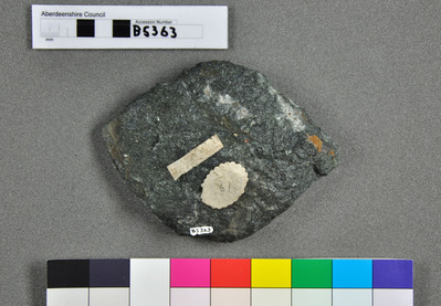 Archived Images\B_numbers\B5001-B5500\B5363.jpg; B5363; ;